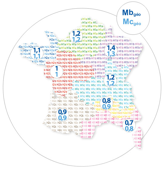 mbgeo mcgeo